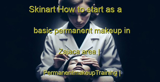 Skinart How to start as a basic permanent makeup in Zajaca area | PermanentmakeupTraining | PermanentmakeupClasses | SkinartTraining-Serbia